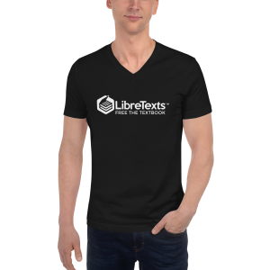 Unisex Short Sleeve V-Neck T-Shirt