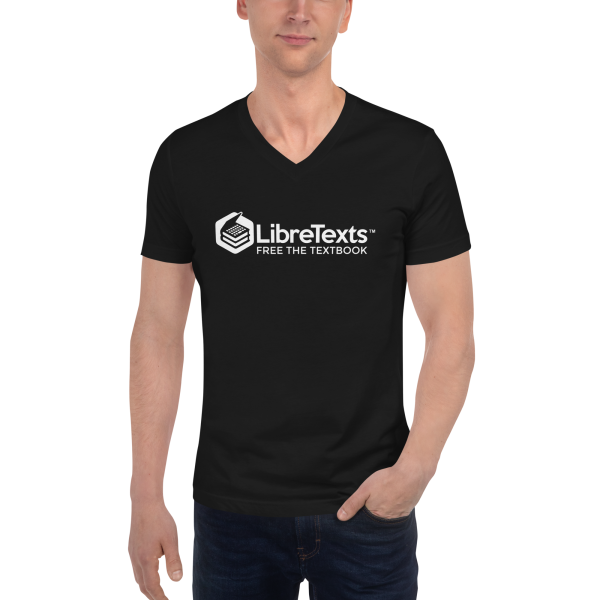 Unisex Short Sleeve V-Neck T-Shirt
